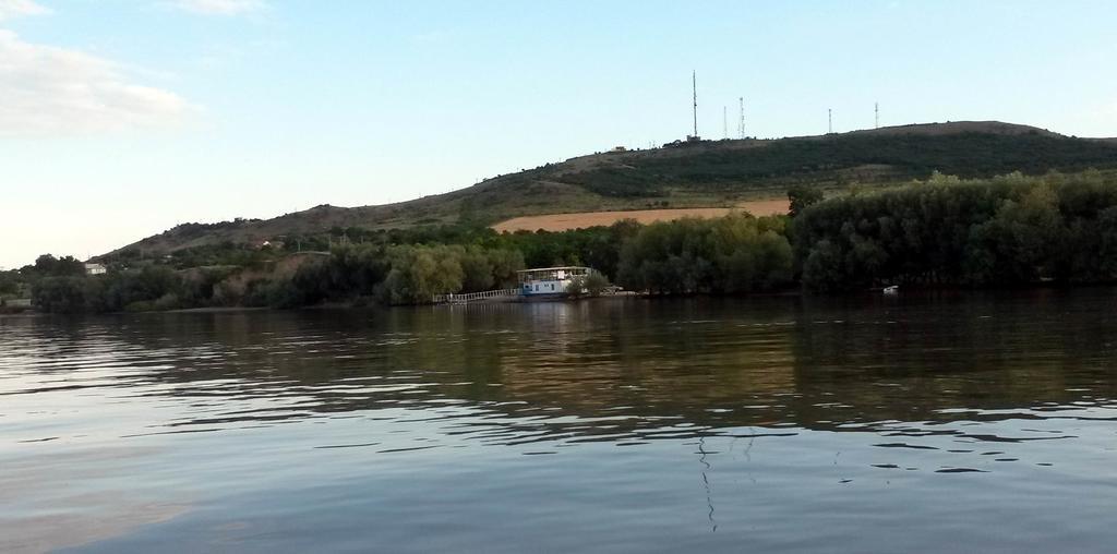 מלון מחמודיה Delta Pontoon מראה חיצוני תמונה