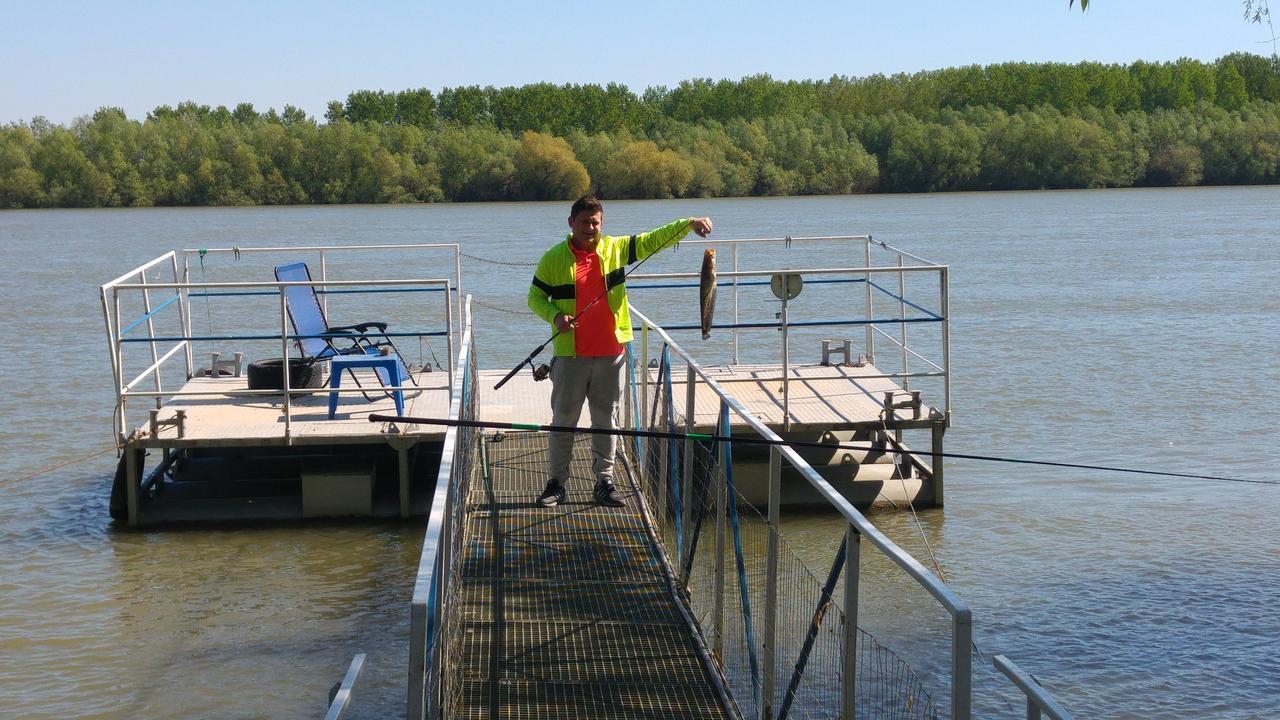 מלון מחמודיה Delta Pontoon מראה חיצוני תמונה