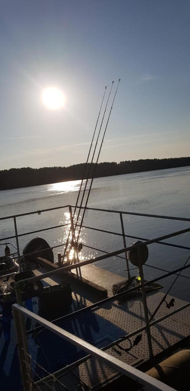 מלון מחמודיה Delta Pontoon מראה חיצוני תמונה